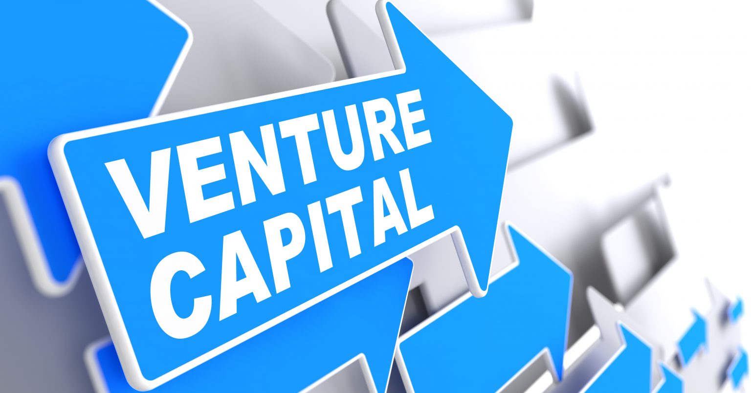 how-much-equity-should-venture-capital-investors-get-in-a-startup